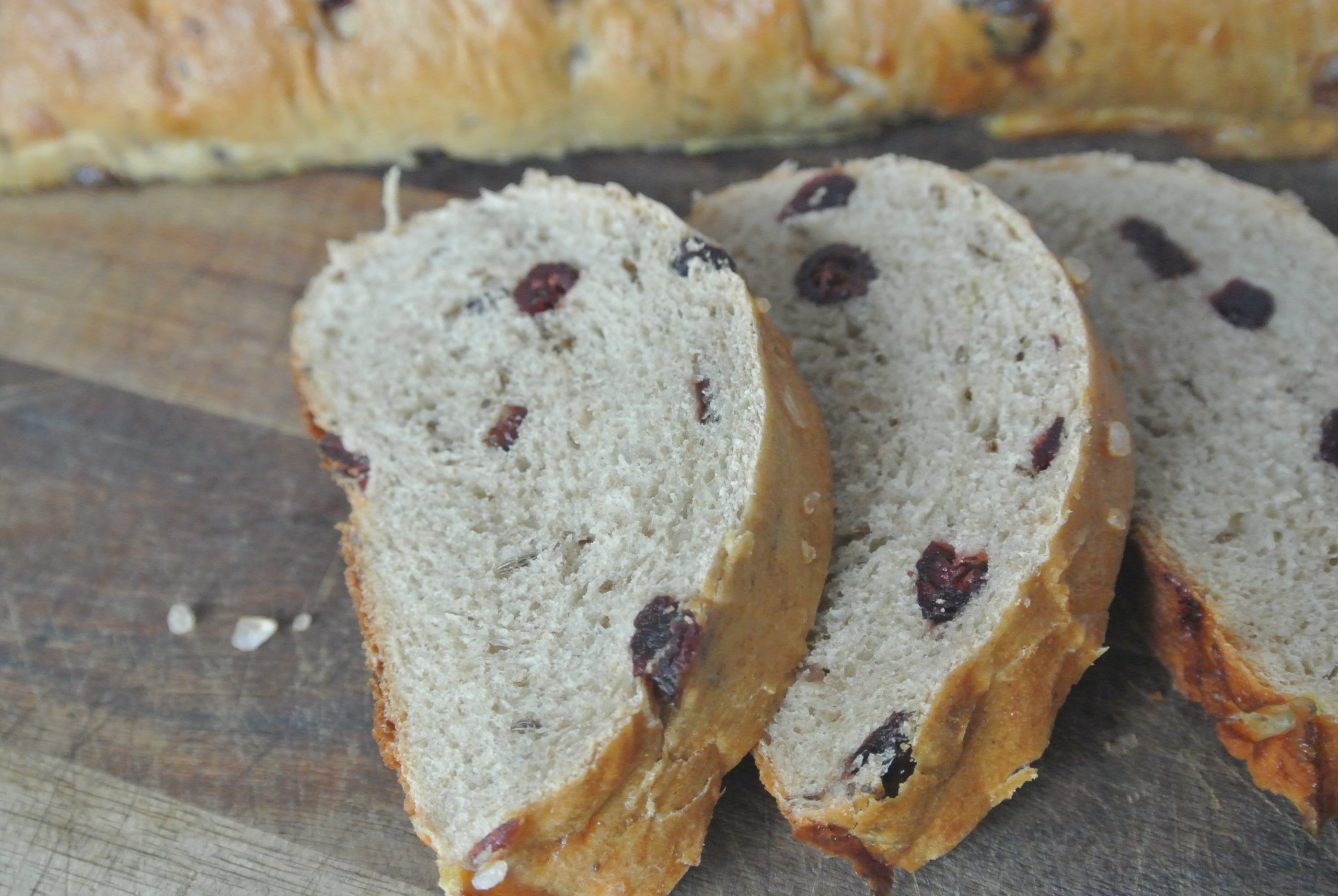 Cranberry-Pecan Rye Bread